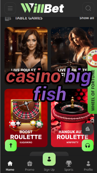 Casino Big Fish - Social Casino Games Collection-casinoorder.vip