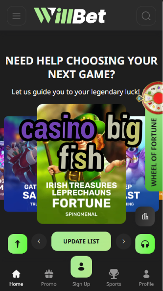 Casino Big Fish - Social Casino Games Collection-casinoorder.vip