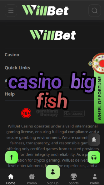 Casino Big Fish - Social Casino Games Collection-casinoorder.vip