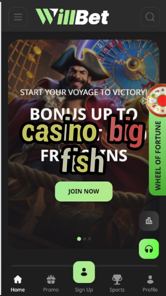 Casino Big Fish - Social Casino Games Collection-casinoorder.vip